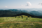 风景