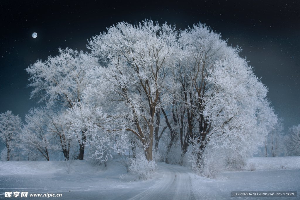 雪景