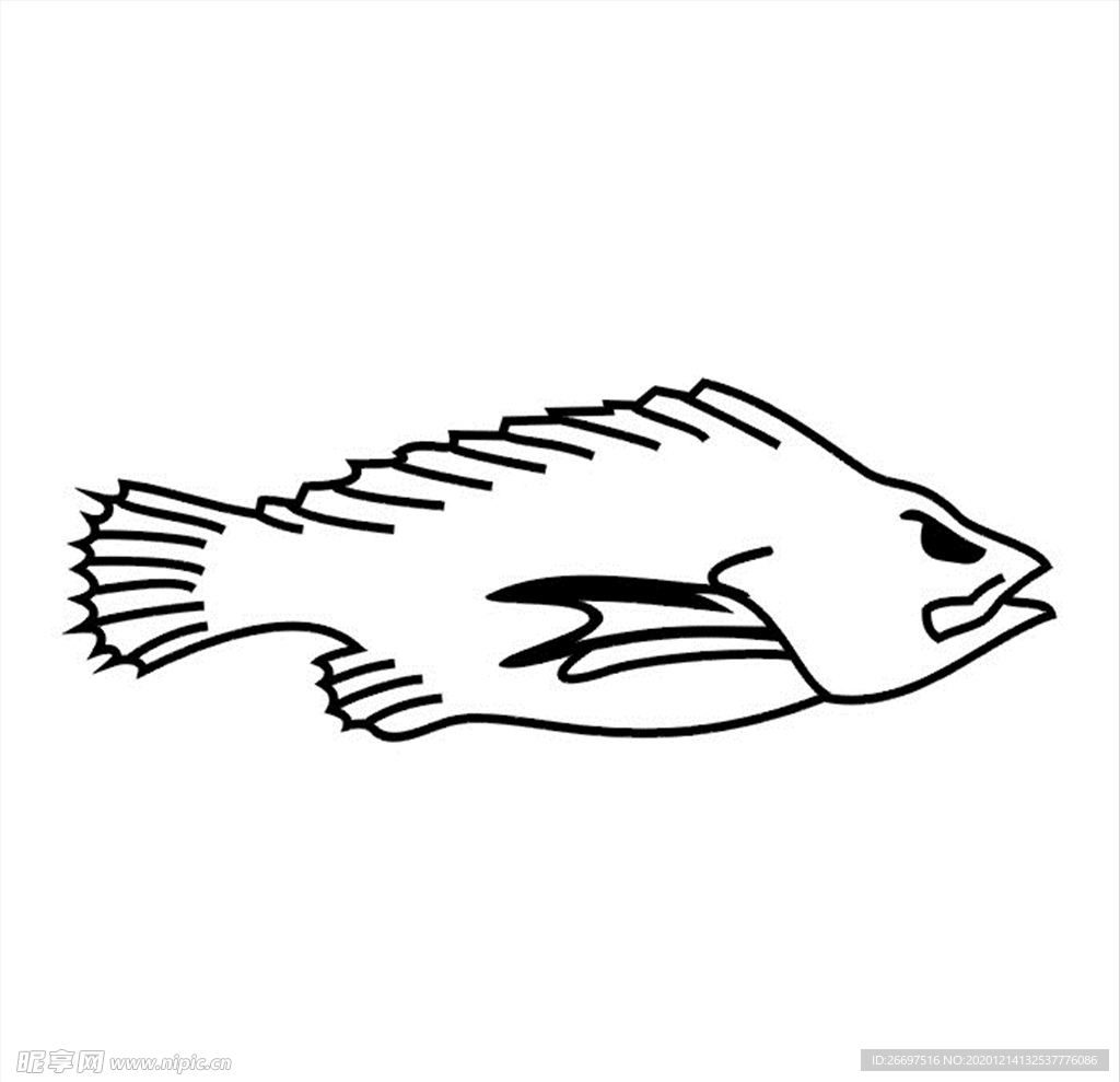 鱼素材矢量图