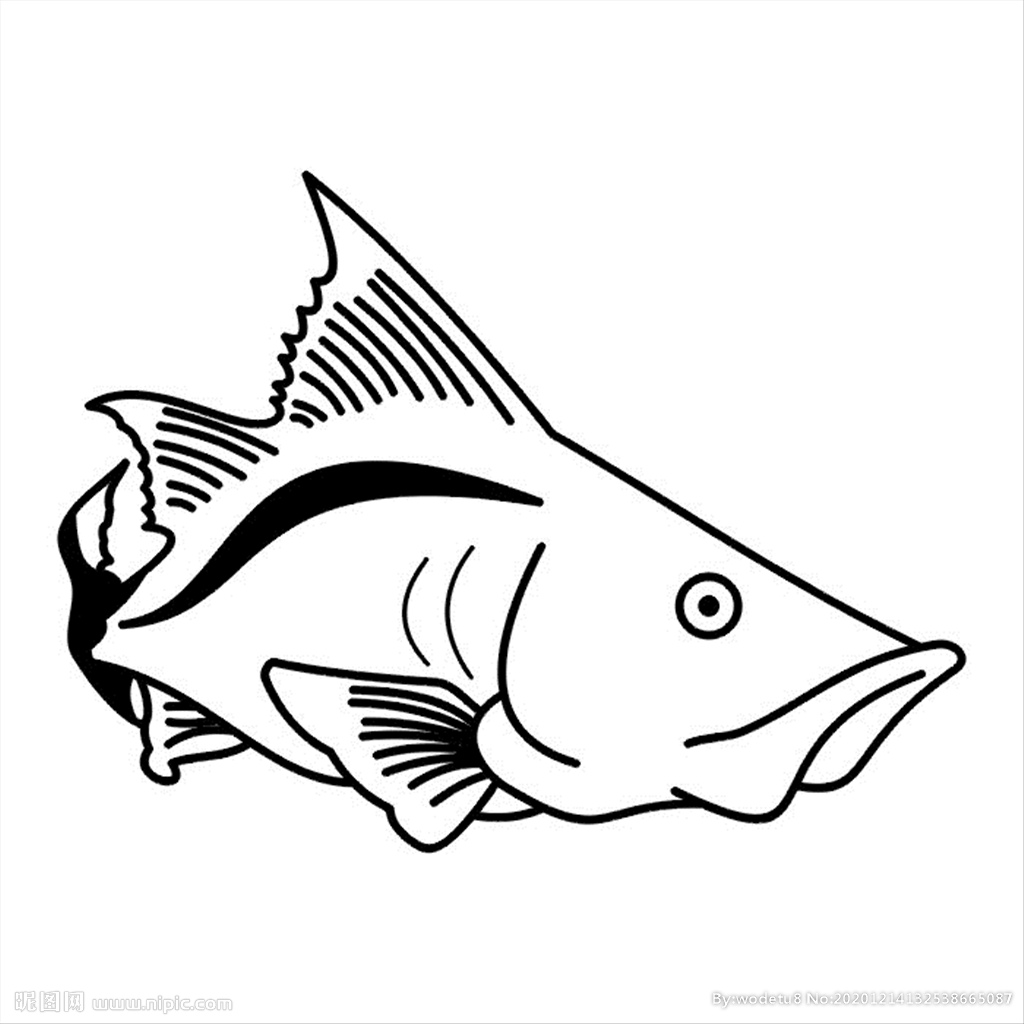 鱼图案矢量图