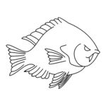 线描鱼图案