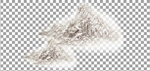 中国画