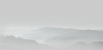 中国画