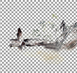 透明底山水画