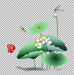 手绘荷花