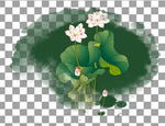 手绘荷花