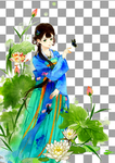 荷花  美女