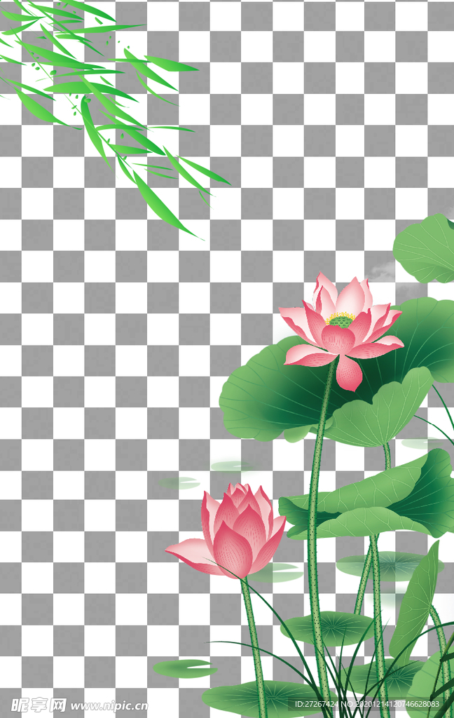 荷花