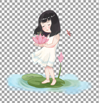 荷花