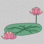 透明底荷花