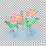 透明底荷花