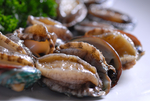 美食