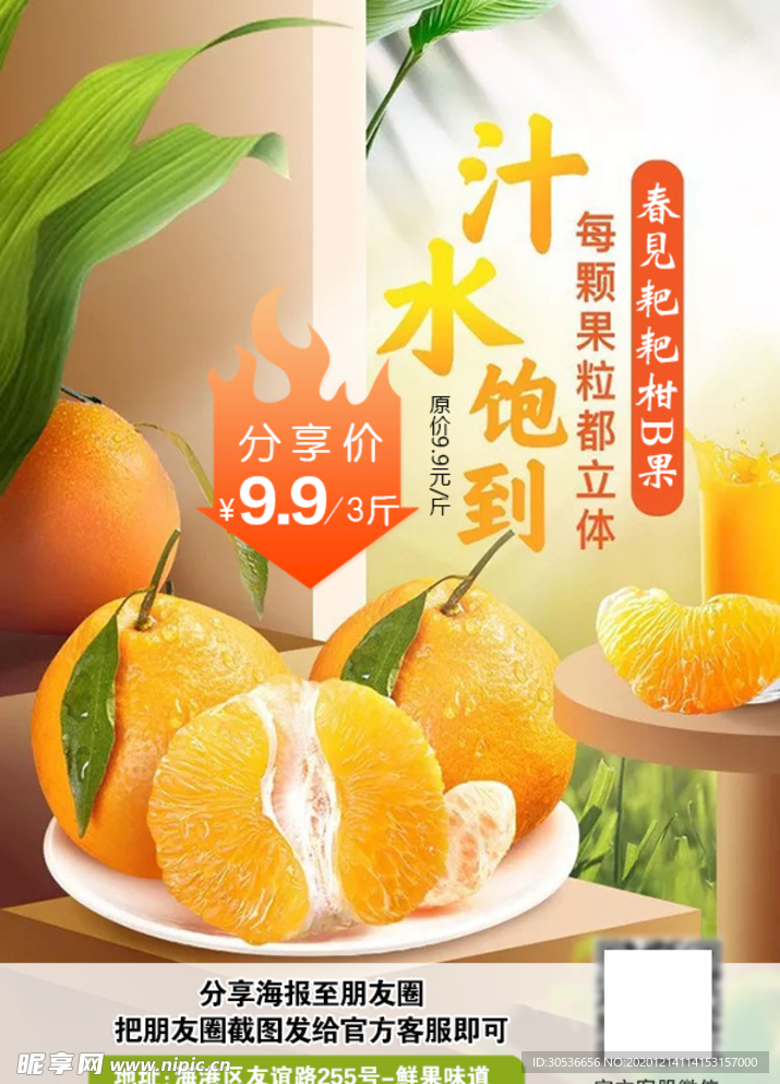 春见耙耙柑