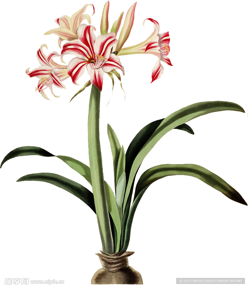 花
