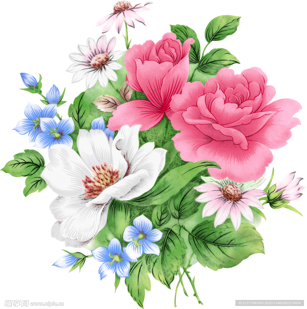 贵妃花