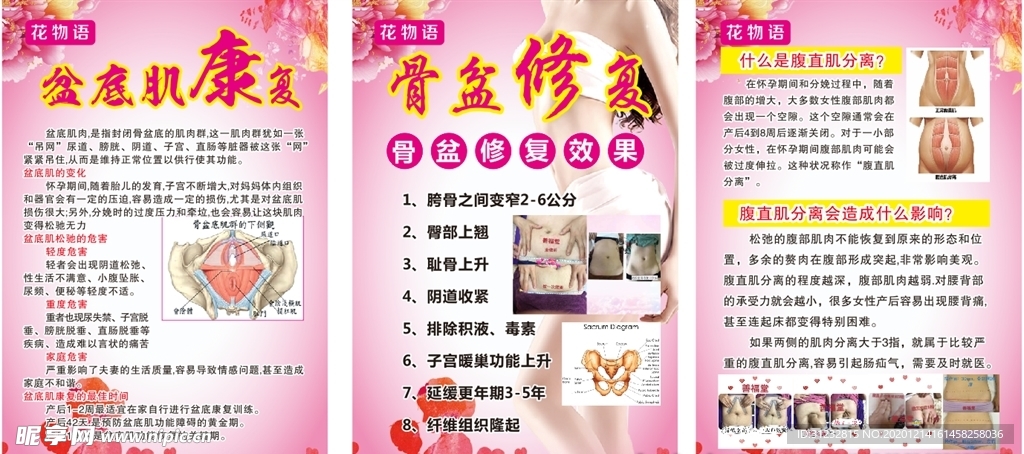 美容 骨盆修复 盆底肌 宣传