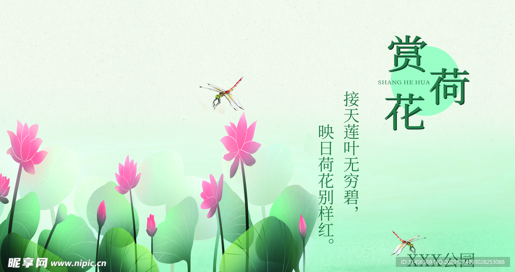赏荷花