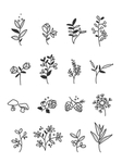 植物花卉线稿图