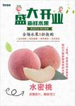 水蜜桃海报