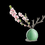 春天 花朵 植物 桃花
