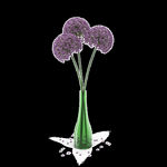 花瓶免扣