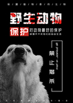 保护野生动物