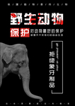 保护野生动物