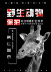 保护野生动物