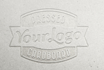 logo样机