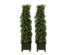 植物架子3d模型