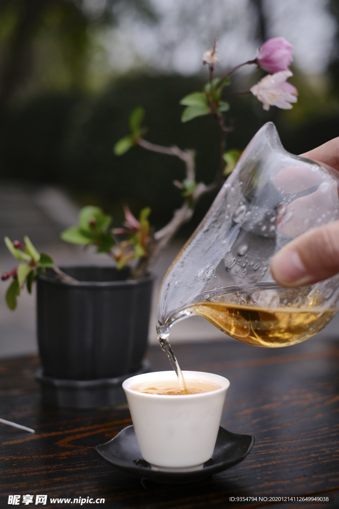 茶艺师泡茶