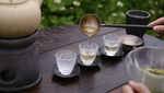 茶艺师泡茶