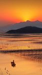 夕阳