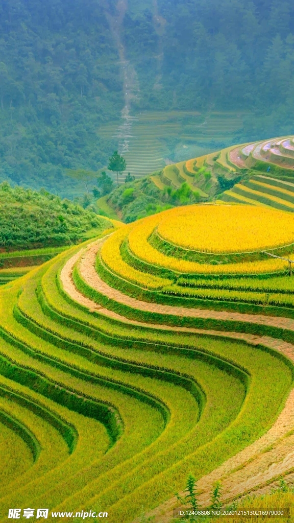 梯田