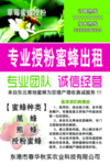 草莓 蜜蜂 授粉 黑蜂  熊蜂