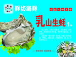 生蚝  海蛎 牡蛎 海鲜 蓝色