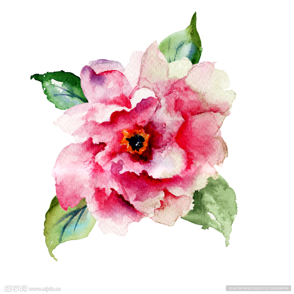 手绘花