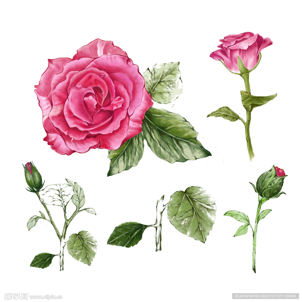 手绘花