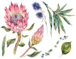 手绘花