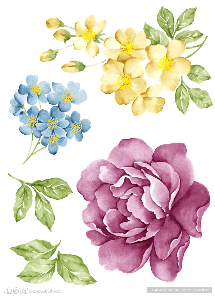 手绘花