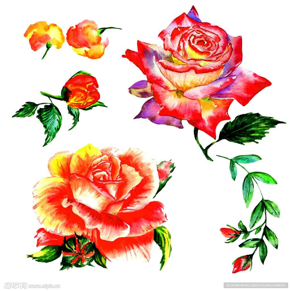 手绘花