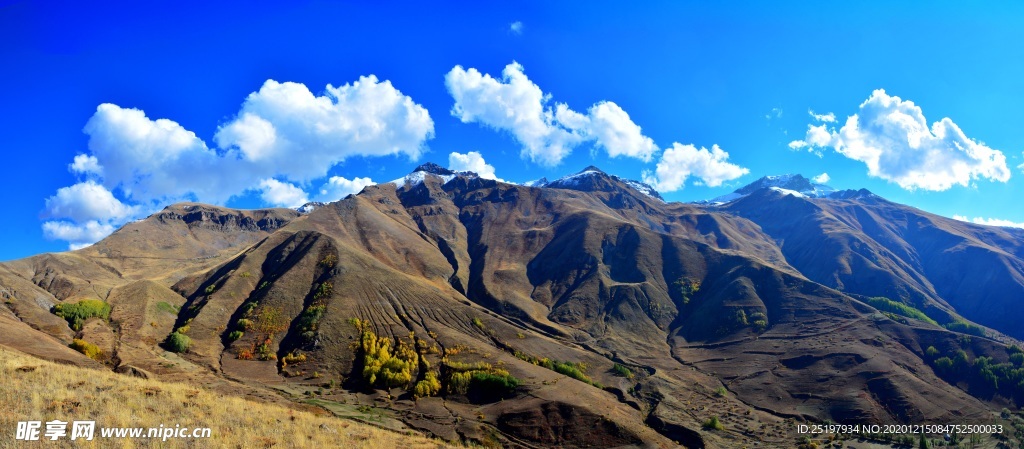 风景