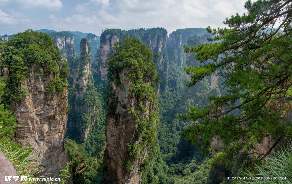 风景