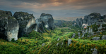 风景