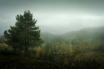 风景