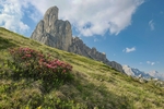 风景