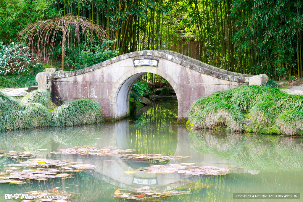 风景