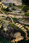 梯田 风景