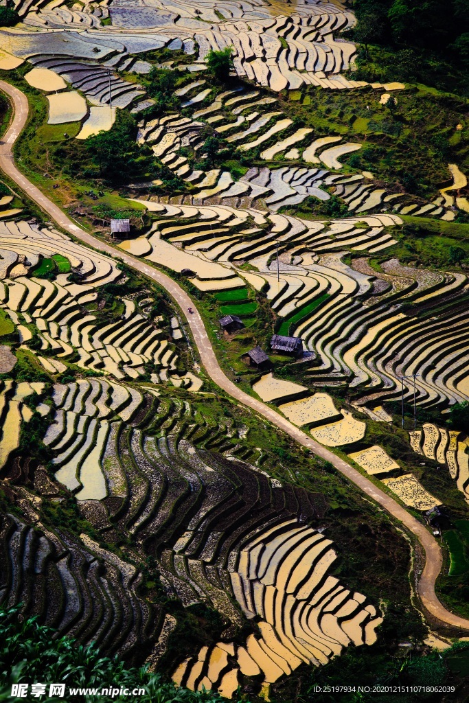 梯田 风景