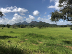 风景
